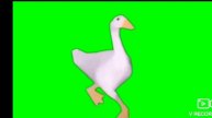 гусь танцует