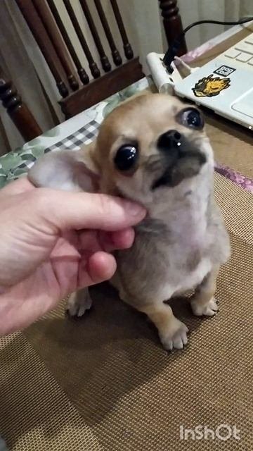 мини мальчик , 2 месяца