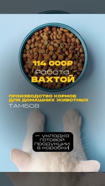 Заполняй анкету по ссылке в шапке профиля!