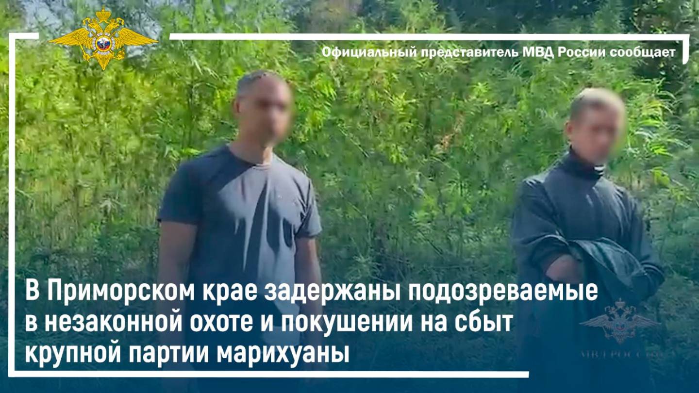В Приморье задержаны подозреваемые в незаконной охоте и покушении на сбыт марихуаны