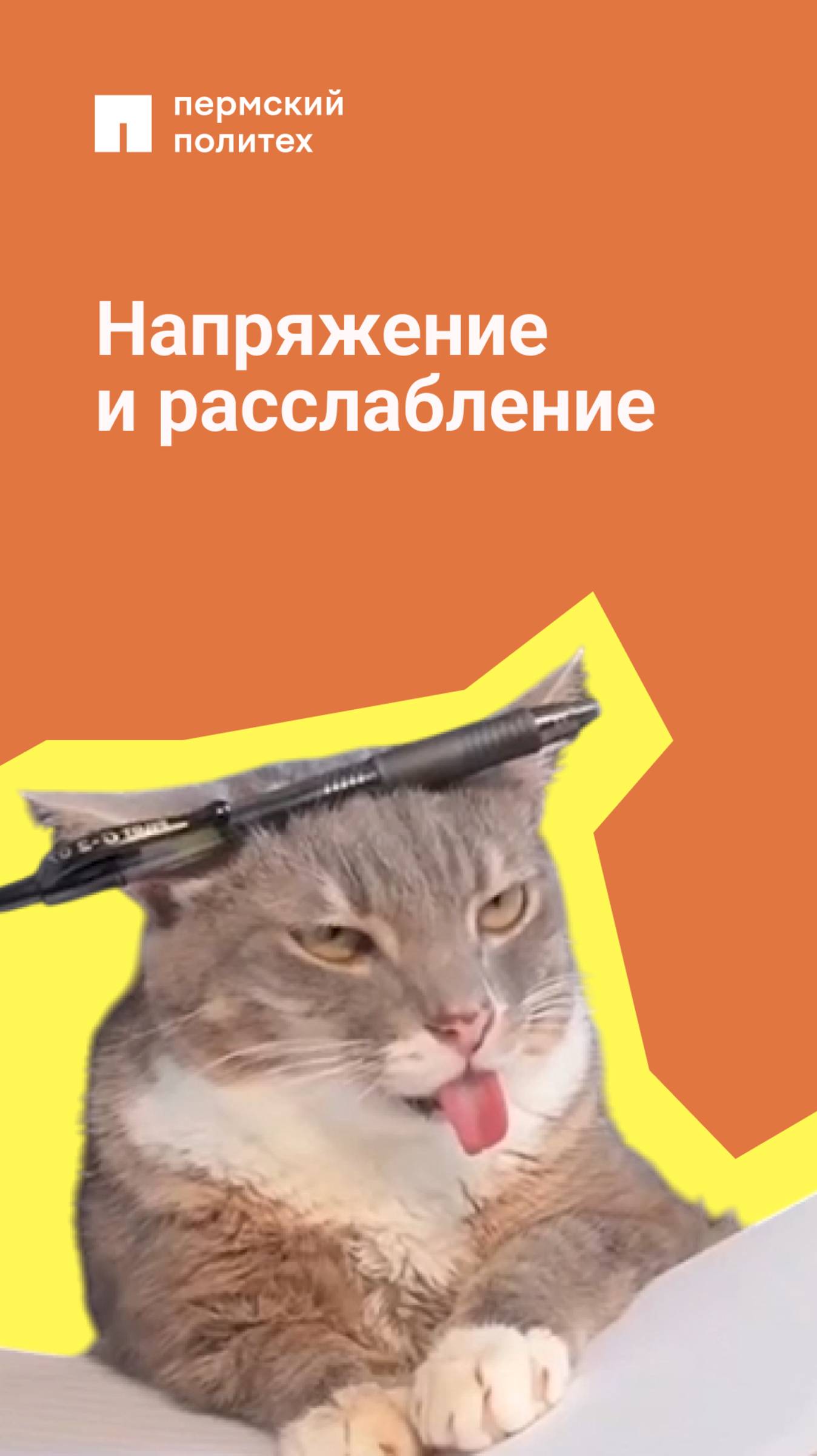 В любом проекте есть тот, кто делает вид, что работает, и тот, кто даже вида не делает