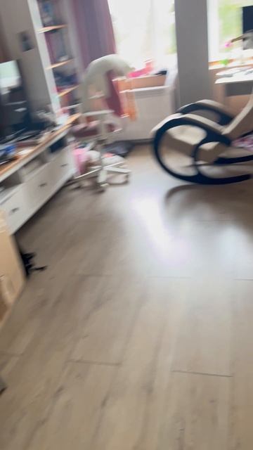 Тюлень будущее уже скоро