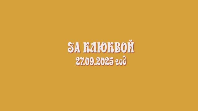 За клюквой.