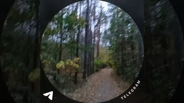 Хорошие девчата