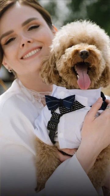 Шаги к ункальной концепции свадьбы