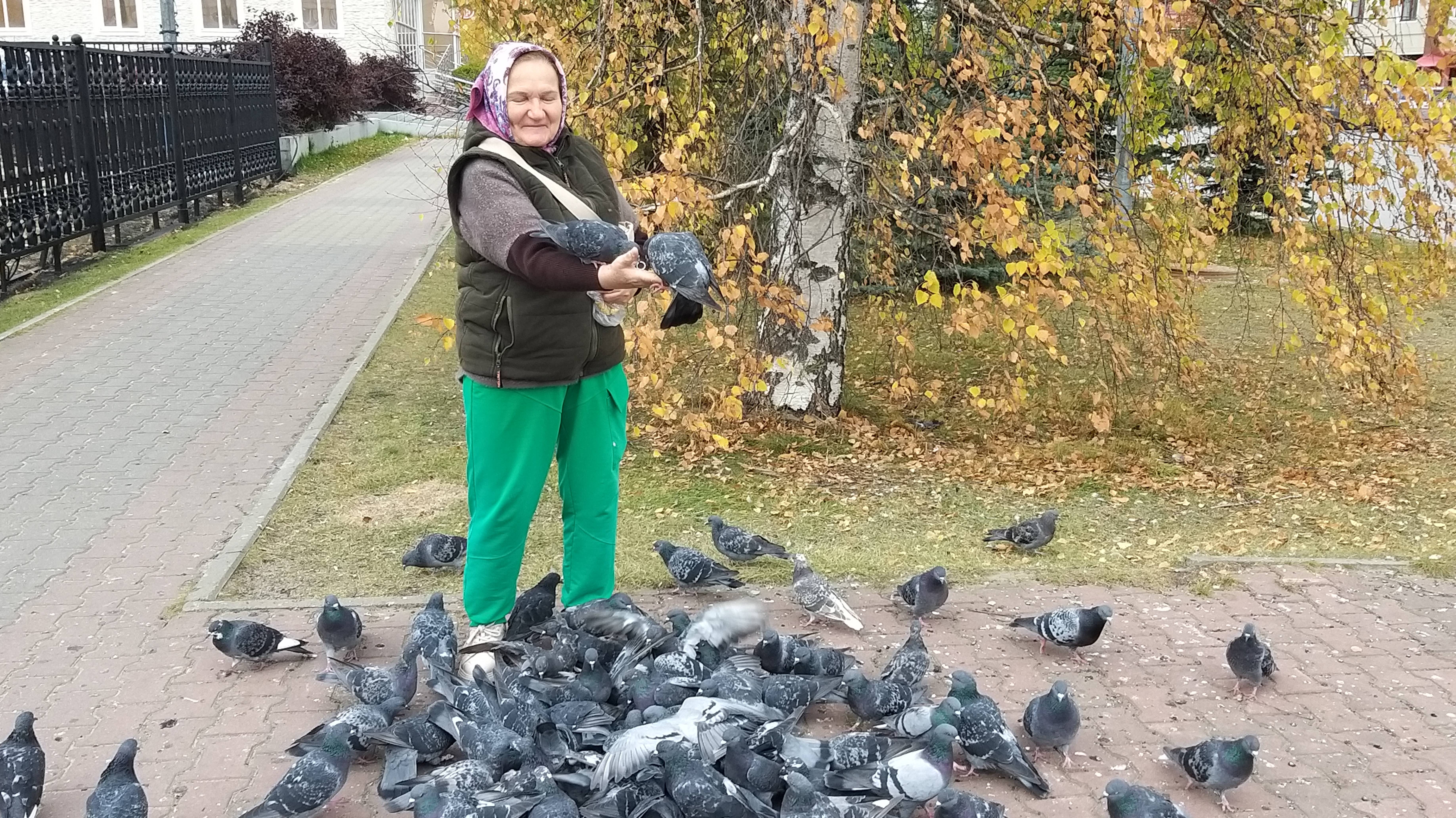 Голуби