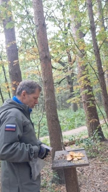 Необходимо подкармливать обитателей леса.