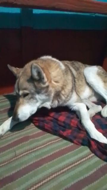 VID_20251001_184401.mp4