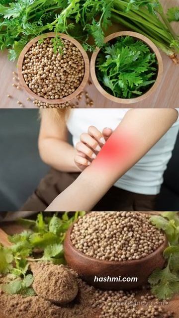 Consumption of coriander seeds and its benefits