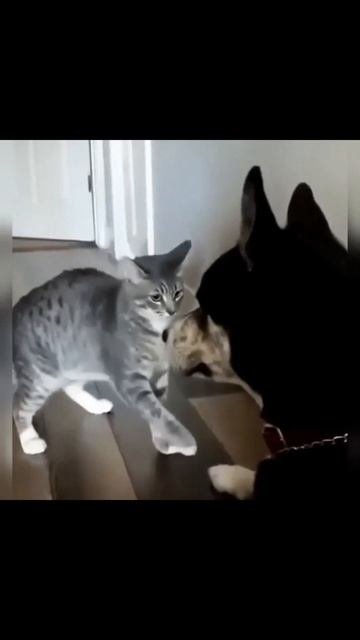 1000082576.mp4