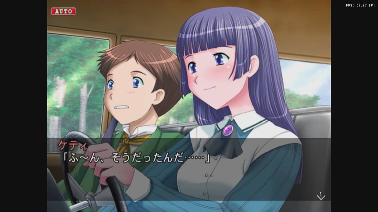しろがねの鳥籠 通常版  Shirogane no Torikago: The Angels with Strange Wings PS2 0103