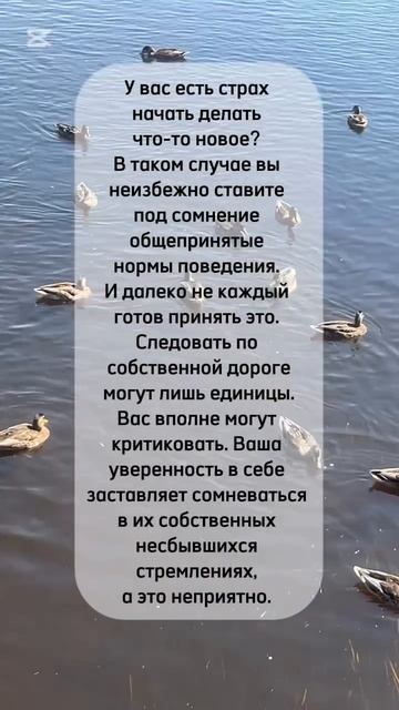 #shorts #реализация
