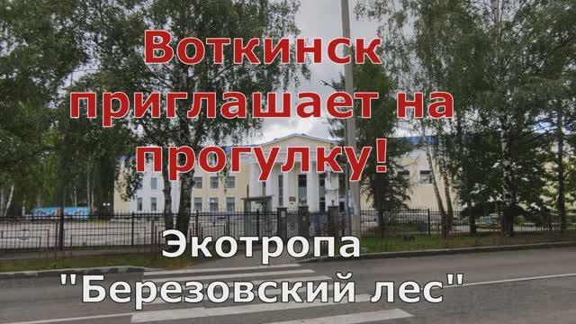 Экотропа Березовский лес.  Воткинск преображается! Удмуртия!