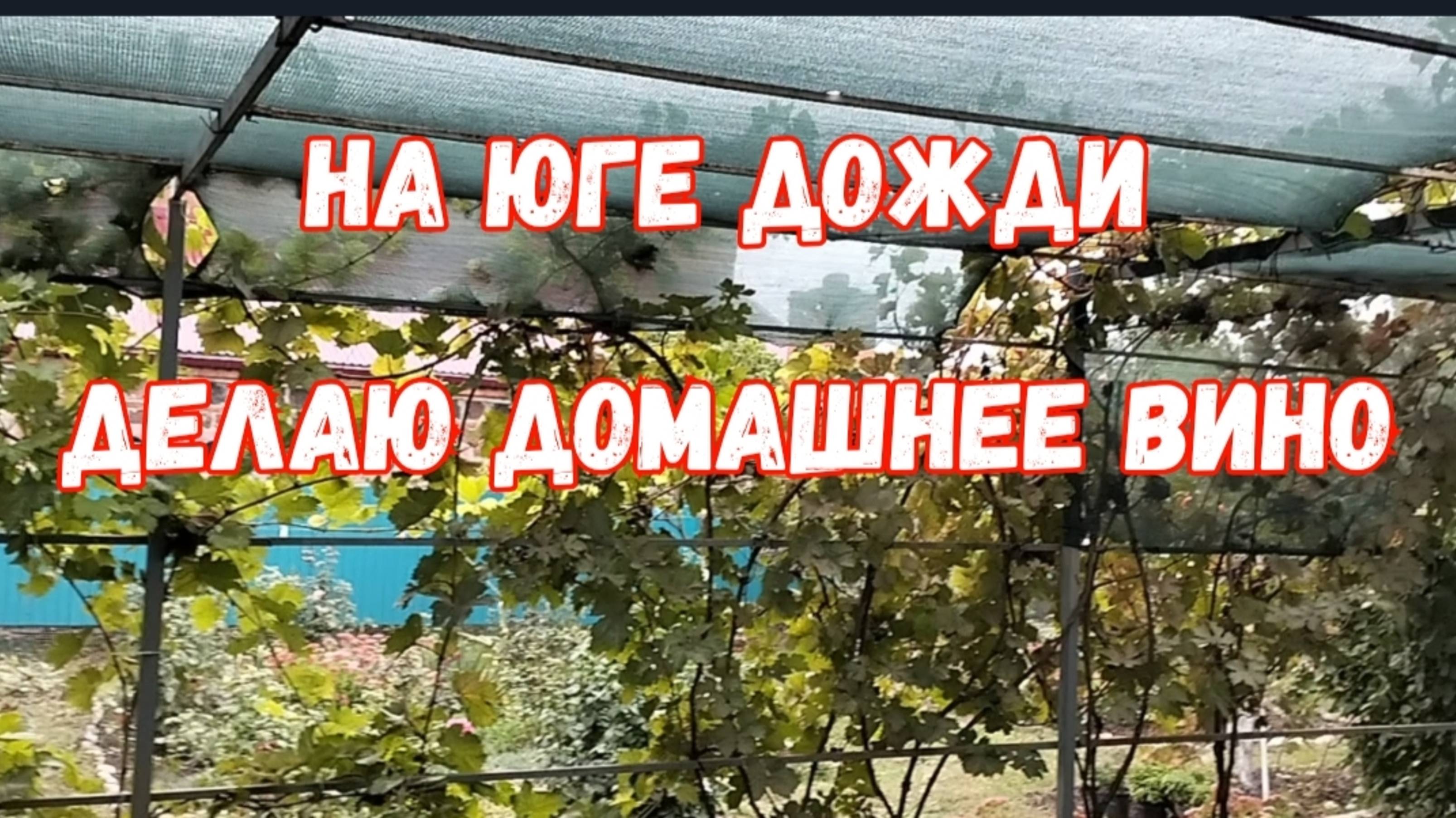 #95🌷На юге дожди и ветер/Не спала всю ночь/Делаю домашнее вино/Вяжу карманы