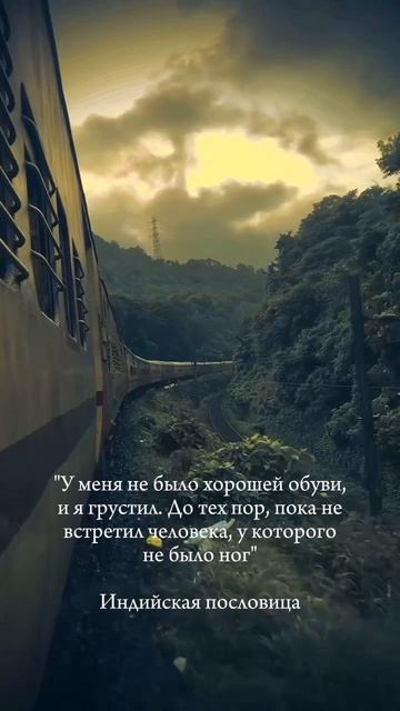 Цитата