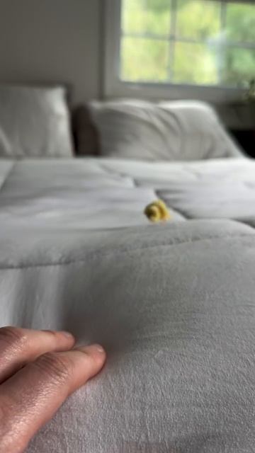 😅🤣😂 😅🤣😂 😅🤣😂 !!!