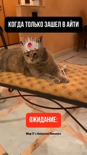 Ожидание Vs реальность от айтишки