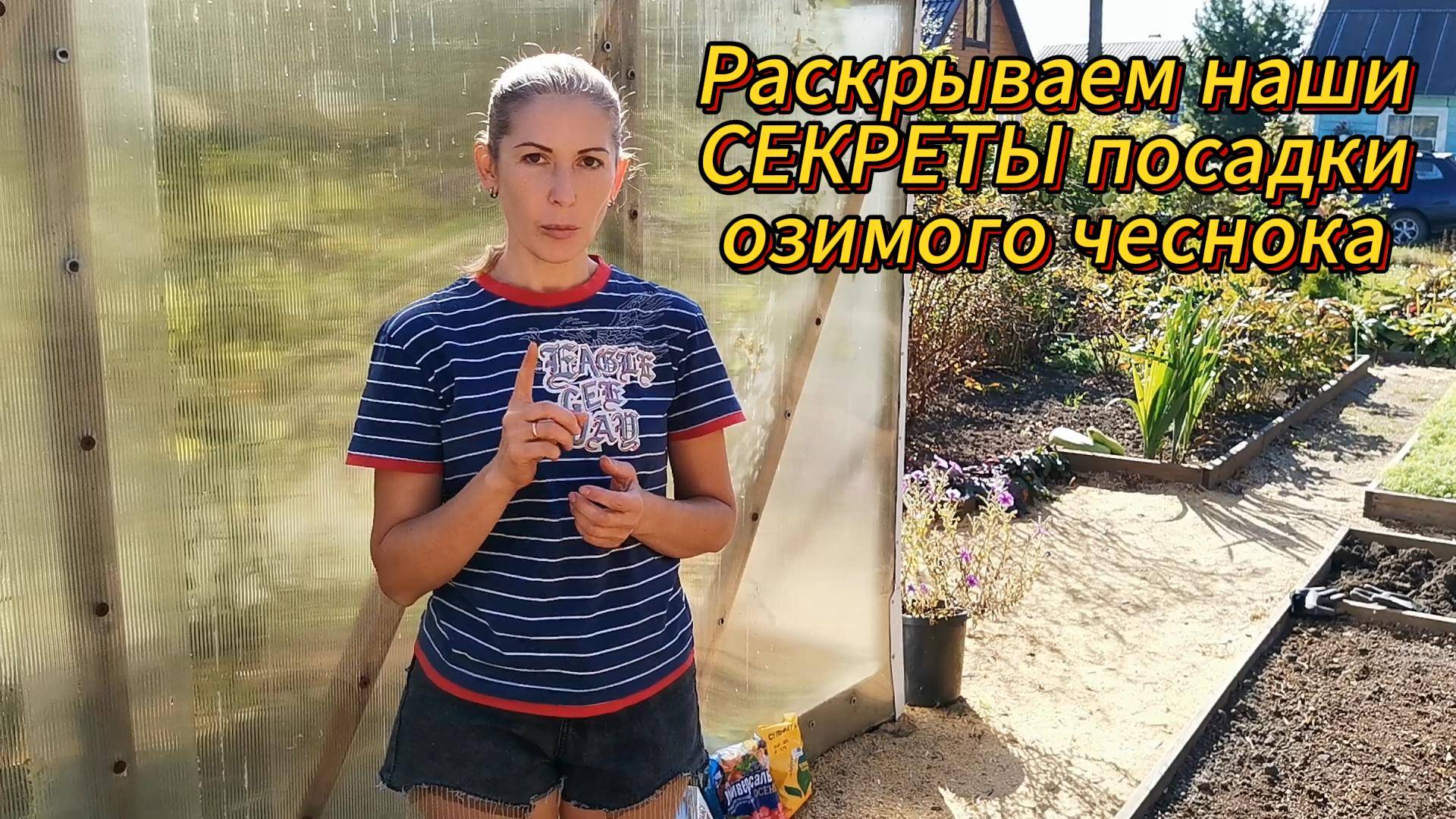 ЭТОТ Способ Посадки Чеснока УДВОИТ Урожай! СЕКРЕТЫ озимой посадки.
