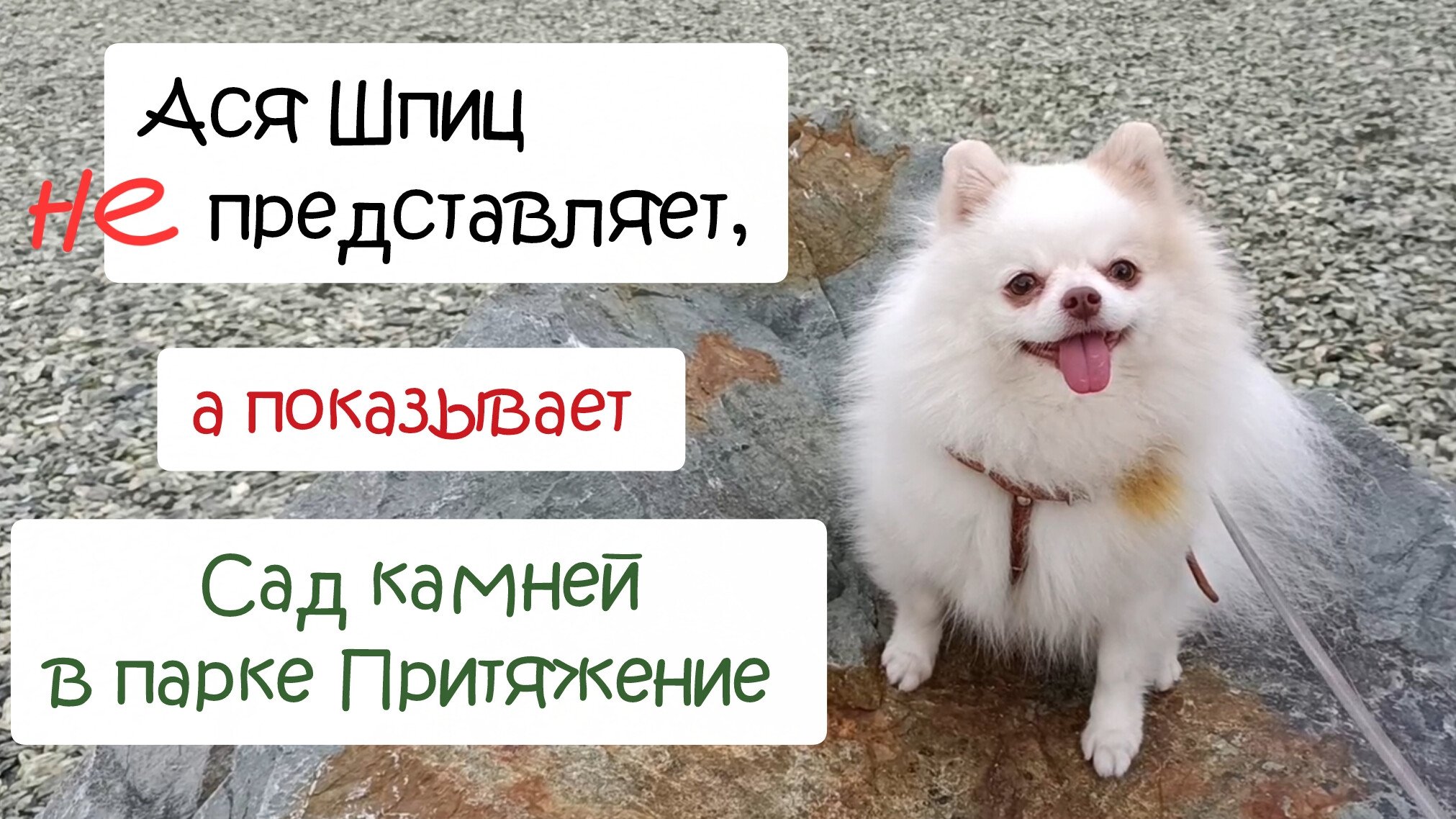 Парк Притяжение Магнитогорск. Сад камней