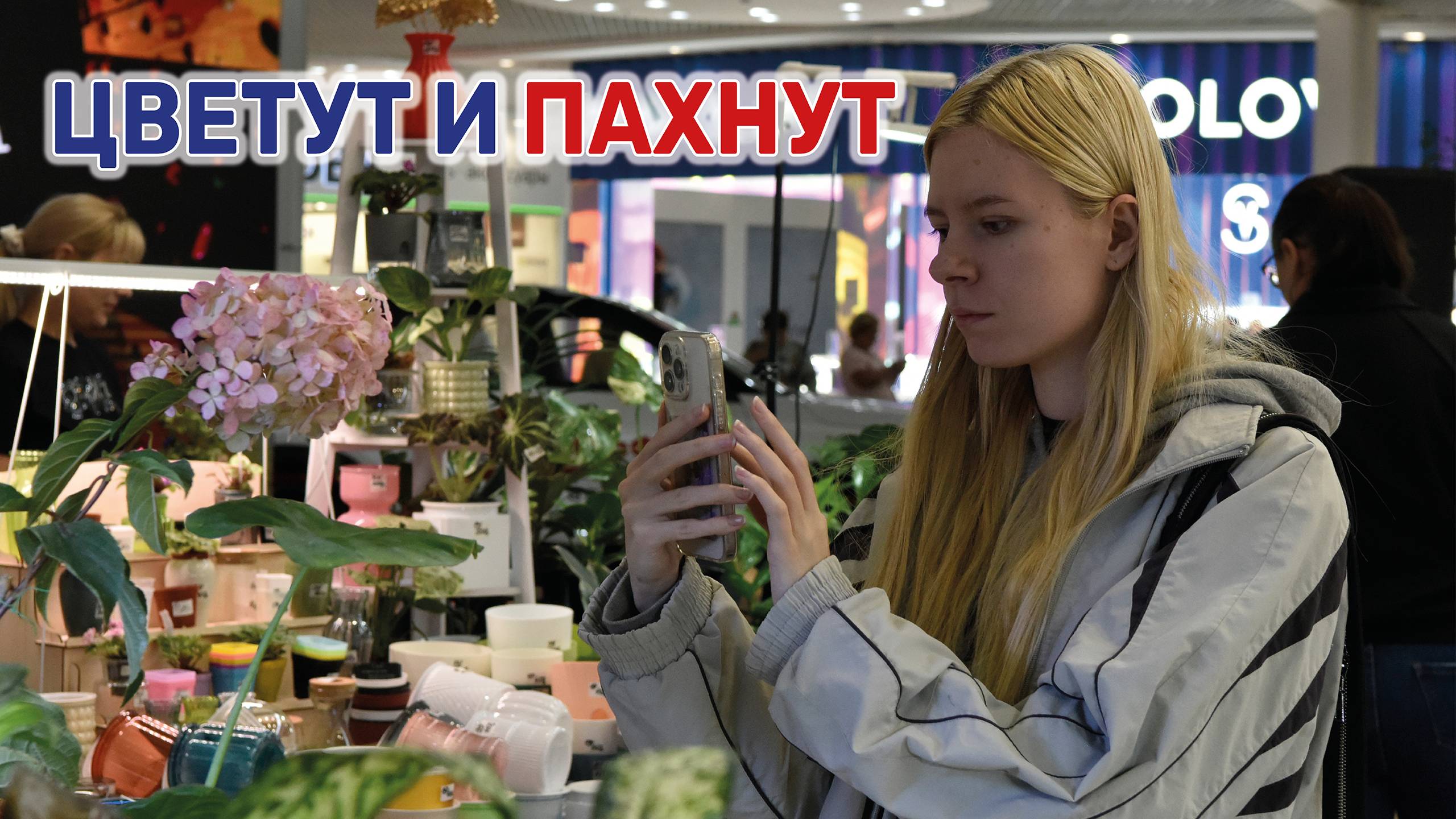 В Краснодаре прошла выставка цветов