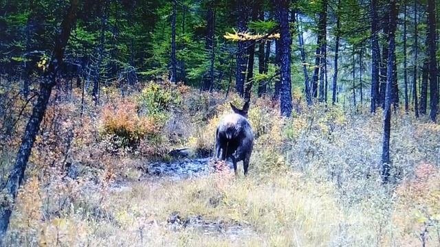 VID_20250923_144623.mp4