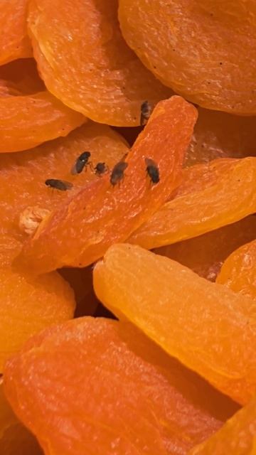 свежие продукты в пятёрочке