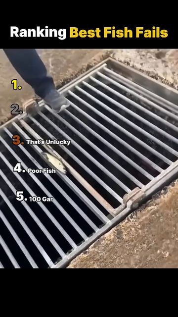 топ 5 рыб