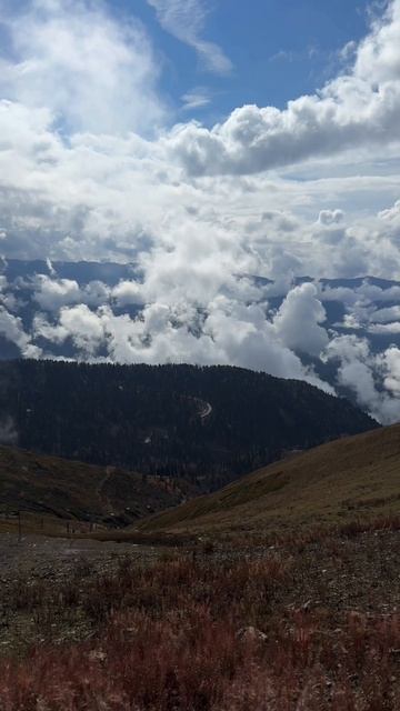 Сочи-краткий обзор