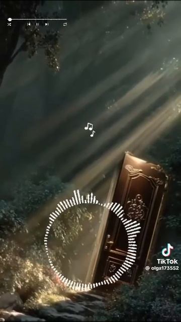 1000230205.mp4