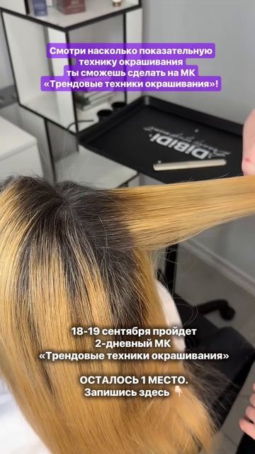 Повышение по техникам окрашивания! Аиртач, хендтач, шатуш