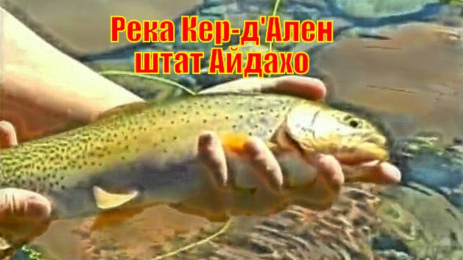 Река Кер-дАлен штат Айдахо