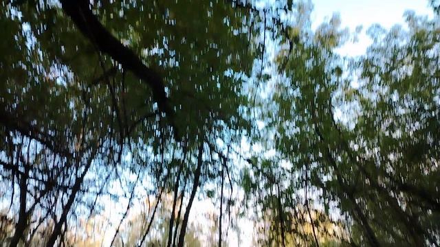 Подхожу к арке дома, что бы пройти к реке Пахра - (3)