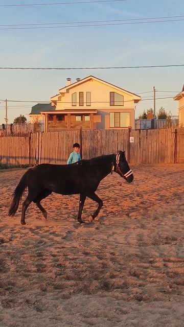 Даша гоняет Наоми на корде.