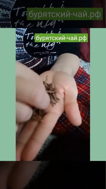 Отзыв о сайте бурятский-чай.рф