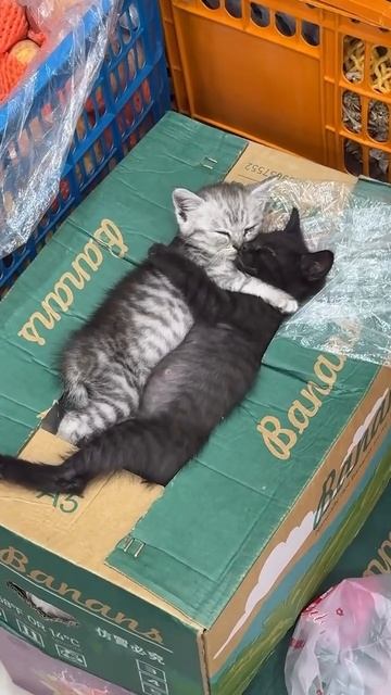 Всё, что хочется, в осенний дождливый день, лежать в обнимку !!!