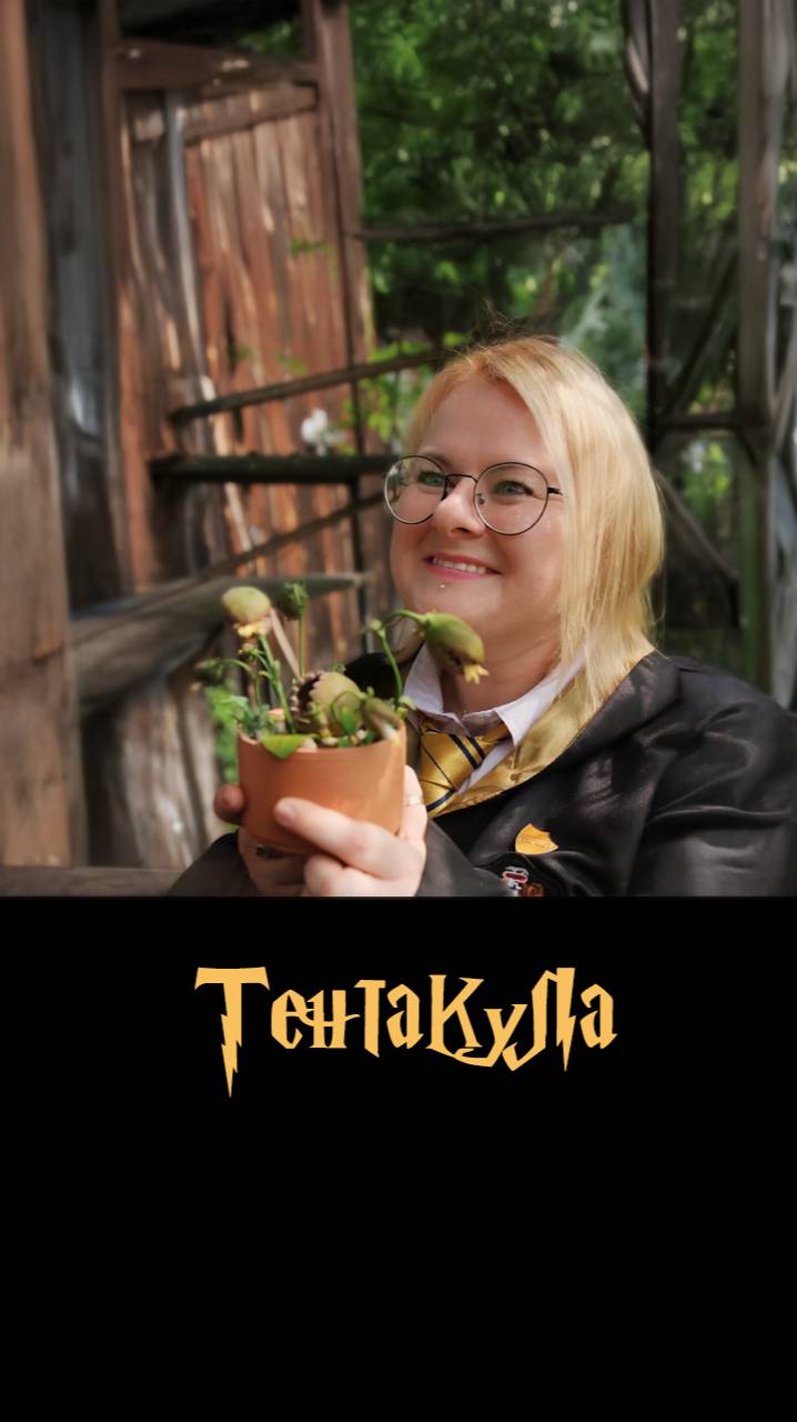 Магическое растение: Тентакула