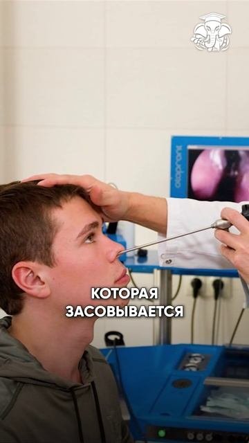 Заглянуть в твою гортань.
