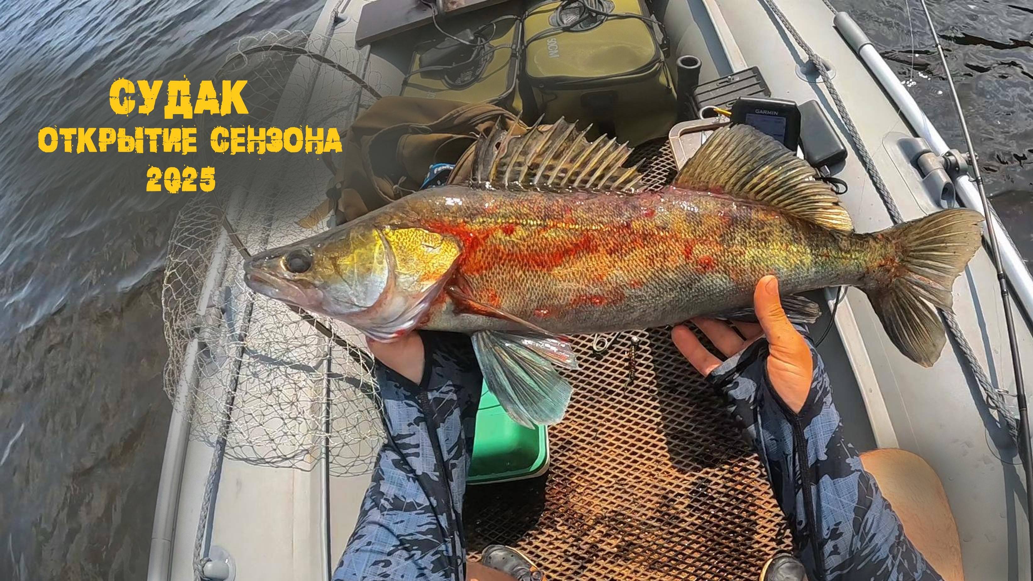 Заглянул к судакам два дня наедине с природой р.Кама