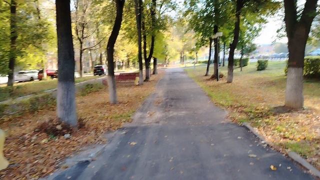 Иду вдоль ул. Кирова по аллее - (1)