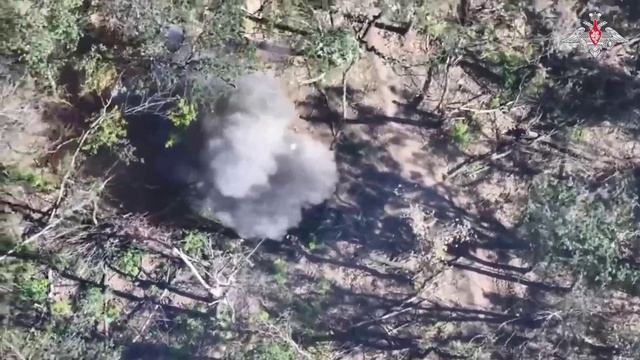 VID_20251002_062441_611.mp4