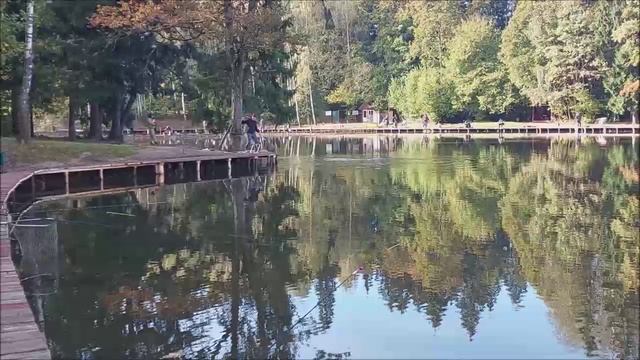 Рыбалка на нижнем водоёме. Клёвое место, Лосиный остров.