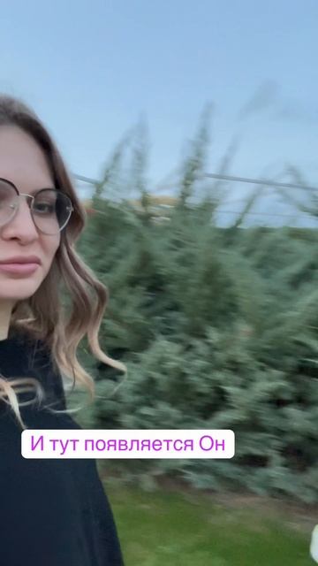 Живешь себе спокойно