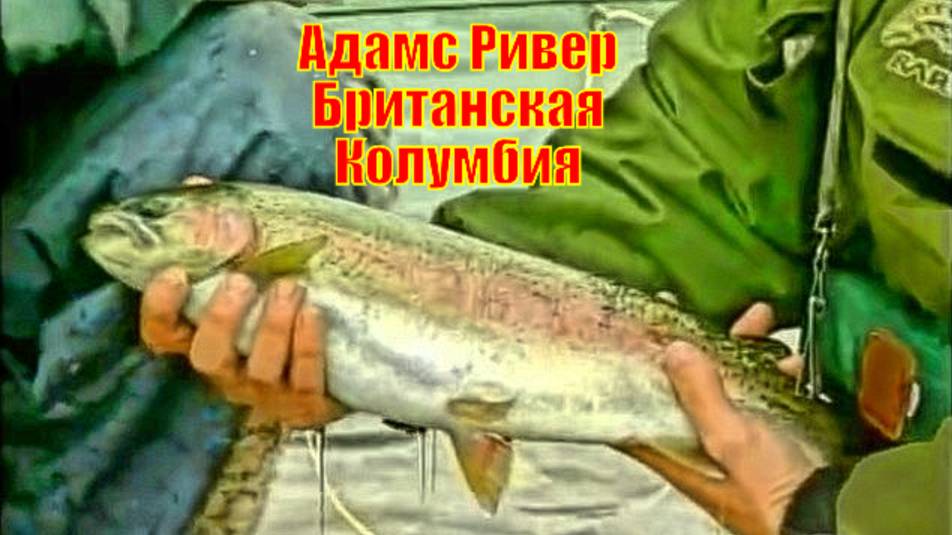 Адамс Ривер Британская Колумбия