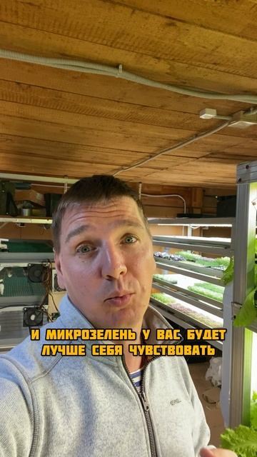 Лучший субстрат для микрозелени