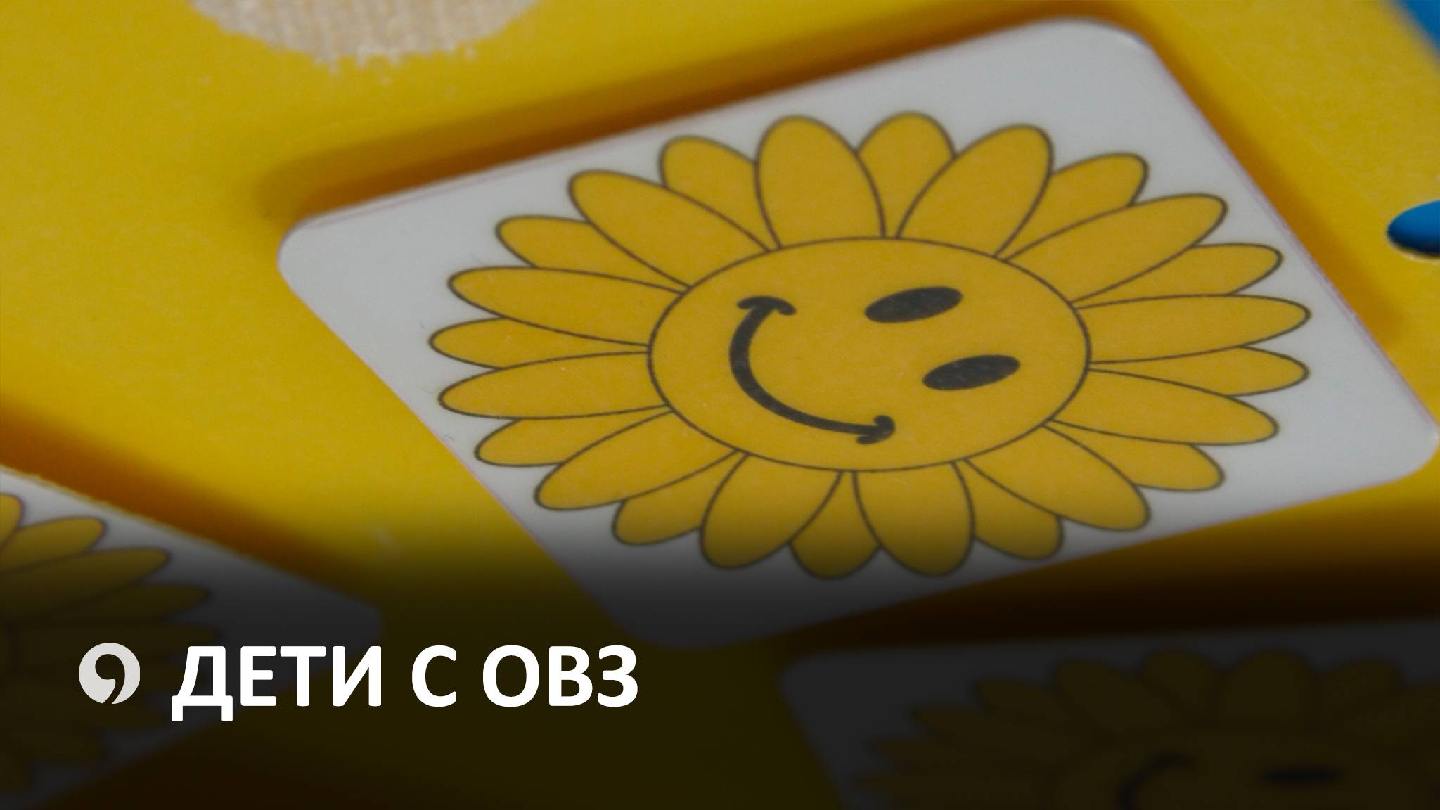 Как на Ставрополье помогают детям с ОВЗ?