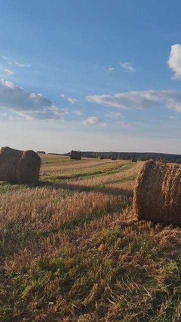 Осень