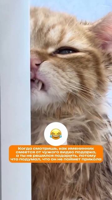 Поздравление из Африки🖤
