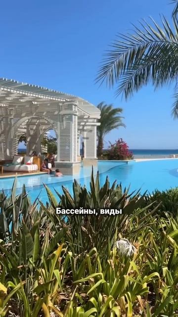 В Египет больше ни ногой!