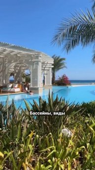 В Египет больше ни ногой!