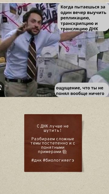 1000034639.mp4